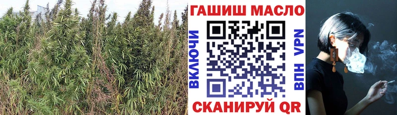наркота  Белорецк  ТГК THC oil 